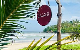 Calma Cafe - Surf, Stay And Yoga